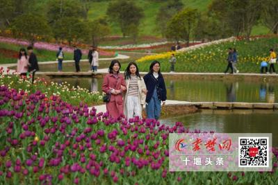 文明旅游|清明小长假文明旅游理念深入人心