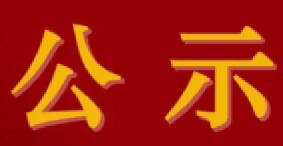 湖北第八届全国道德模范候选人公示