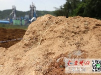 重磅！十堰再次发现恐龙蛋化石，地点在这儿！