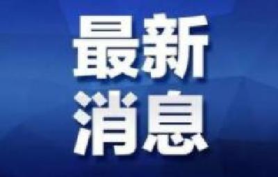 武汉蔡甸突发龙卷风 政府组织紧急救援和应急处置