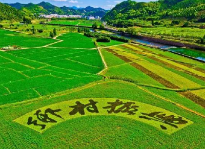 竹溪全面壮大村级集体经济 乡村振兴澎湃新动能