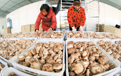 安居乐业日子美 幸福生活歌未央 ——郧阳区易地扶贫搬迁及后续扶持工作综述