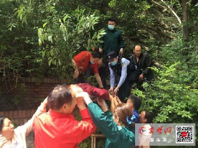 出动警犬搜寻20个小时后，走失山林的86岁老太终于找到了