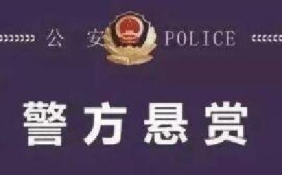 最高悬赏10万元！湖北警方通缉10名重大命案在逃人员