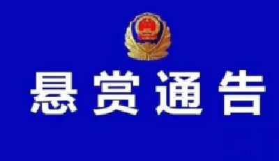 湖北警方悬赏通缉10名重大命案在逃人员