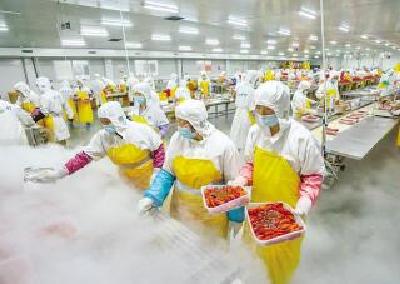 潜江壮大虾稻产业链 综合产值达五百二十亿元