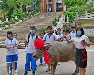 对话送牛感谢学校的广东高州考生家长：祝福孩子们都牛气冲天 