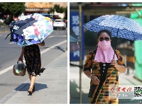 最高温36℃！十堰市民出行是这样的