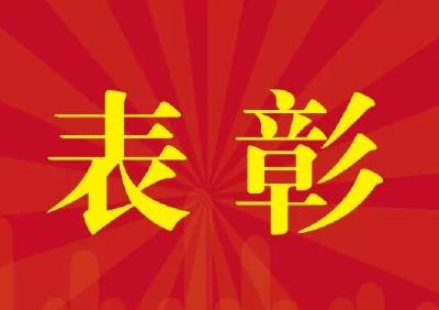“6·26”国际禁毒日，十堰这些先进集体和个人受到全省表彰