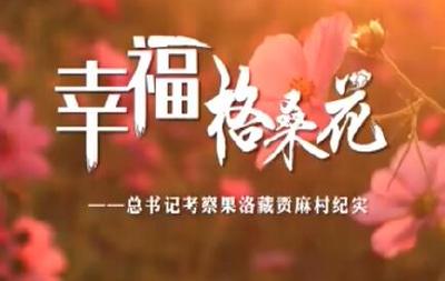 时政微纪录丨幸福格桑花——总书记考察果洛藏贡麻村纪实