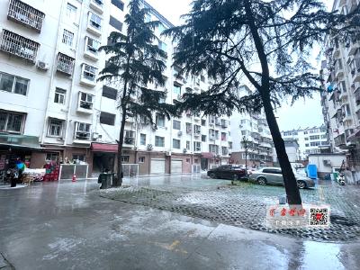 小区无人管理垃圾成堆车辆乱停放，业委会成立后大变样