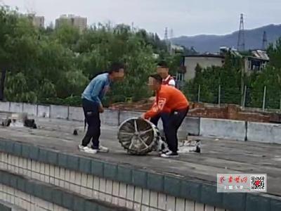 实力坑爹！3个熊孩子楼顶搞破坏，家长赔付3400元