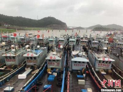 “烟花”登陆前的“第一现场”：“千帆”归港 万人转移