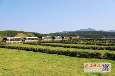 将裸露矿山打造成绿色公园  省环境厅领导点名肯定郧阳区