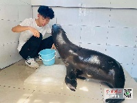 高温天气，看动物们如何“花式避暑”！