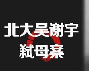 北大学子吴谢宇弑母案今日宣判：看守所内百张手稿讲述作案动机及成长经历