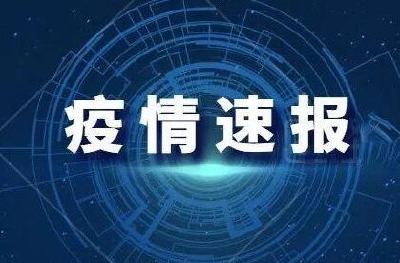 31省份新增本土病例81例 江苏38例河南24例