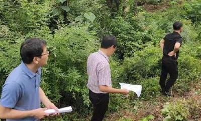 暴雨黄色预警！地质灾害预警！十堰这些地方请注意防范