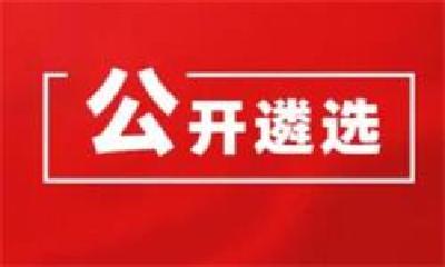 2021年湖北省省直机关公开遴选公务员公告