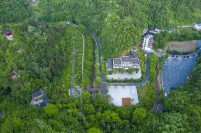 竹山太和梅花谷旅游区恢复开放