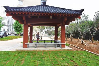 推窗见绿 抬脚入园 湖北637个新建“口袋公园”开门迎客