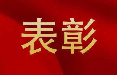 全国表彰！湖北8个先进集体和18名先进个人上榜