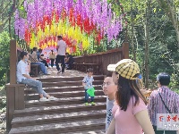 国庆假期首日，近郊游受欢迎