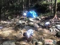 国庆假期首日，近郊游受欢迎