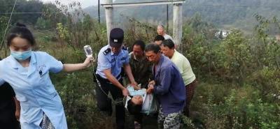 路见柑橘长势喜 车停斜坡欲尝鲜 岂料车子溜坡变成“过山车”
