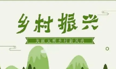 乡村振兴故事|竹溪县向坝乡金竹园村：老范的红火日子