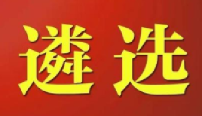 明起报名，计划选拔401人！