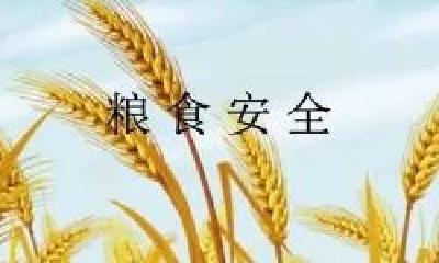 全省粮食安全行政首长责任制考核 我市连续4年获评“优秀”