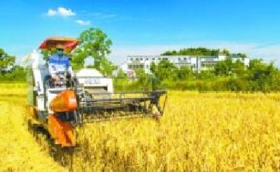 《湖北省推进农业农村现代化“十四五”规划》出炉