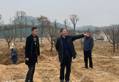 十堰市林业局调研经开区林业工作