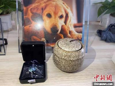 宠物减肥师、遛狗师......宠物经济催生新职业