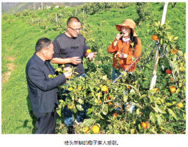 走进恨陡坡村 品农家美味 感受乡村乐趣