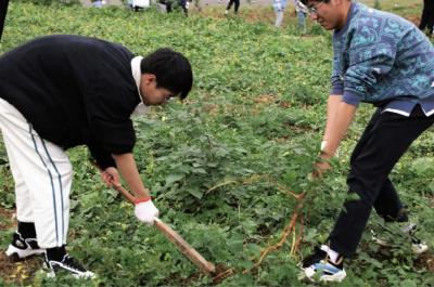 武汉一所大学开了门必修课，每个学生都要下地种田