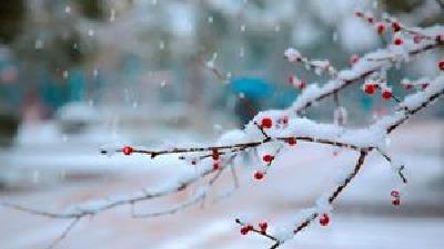这个冬天已出现6轮雨雪天气  专家告诉你为啥雨雪频光临