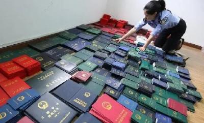 严查假证！“山寨”职业证书和培训机构“尾巴