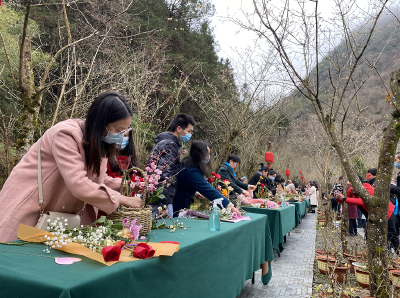 满园春色入“篮”来，竹山举办首届梅花扎花蟠扎大赛