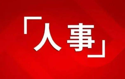 湖北省十三届人大常委会决定任命的名单 