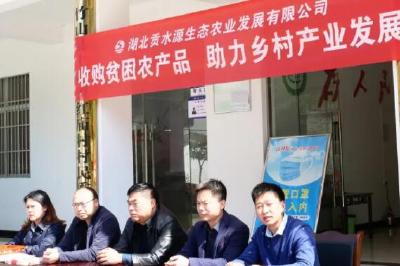 访谈| 十堰返乡创业代表黄治斌：乡村振兴我助力 返乡创业促发展