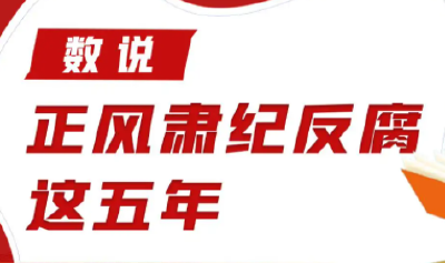 湖北这个专项监督检查 处分3080人