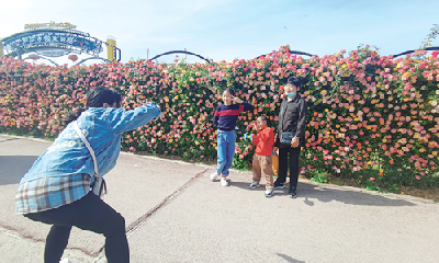 文明旅游 | 有序排队入园、赏花不摘花 文明旅游成假期别样风景