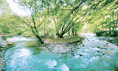 “森”呼吸享清凉 来竹溪过一个凉爽的夏天