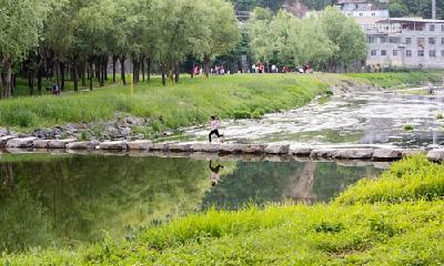 “口袋公园”之夏家店河道公园：河绿景美醉游人