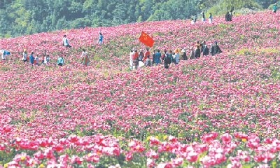 赏花玩水住民宿 立夏之旅从这里开启