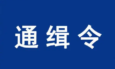 看到他们请报警！公安部A级通缉令通缉12名电诈集团头目骨干