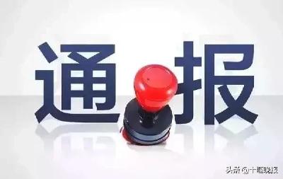 郑州通报“赋红码”调查问责情况，多人被处分！