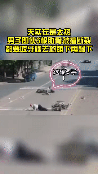 太热了！车祸撞断6根肋骨，也要跑到树荫下躺着！浙江男子冲上热搜第一